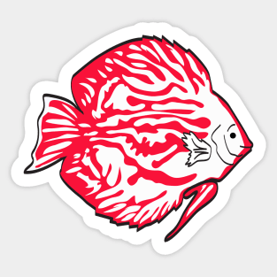 FISH DISCUSS Sticker